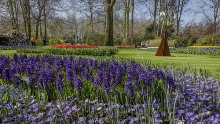 Keukenhof met 12.500 bezoekers