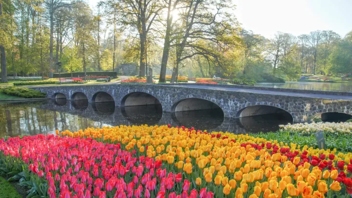 Voorzieningen