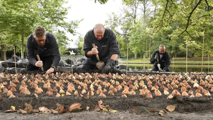 Keukenhof blickt optimistisch in die Saison 2022