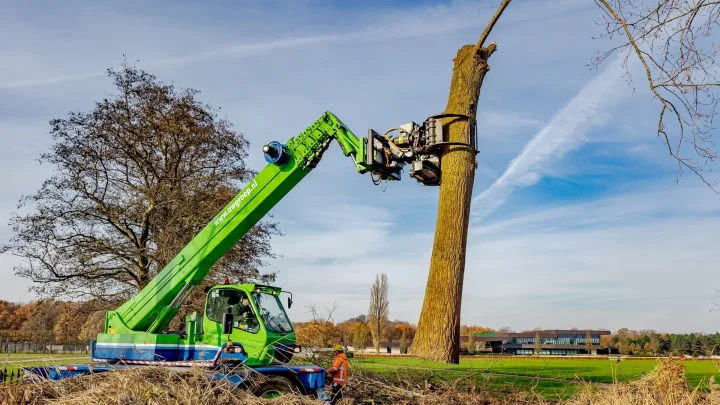 Keukenhof vervangt populieren langs de Westelijke Randweg in Lisse