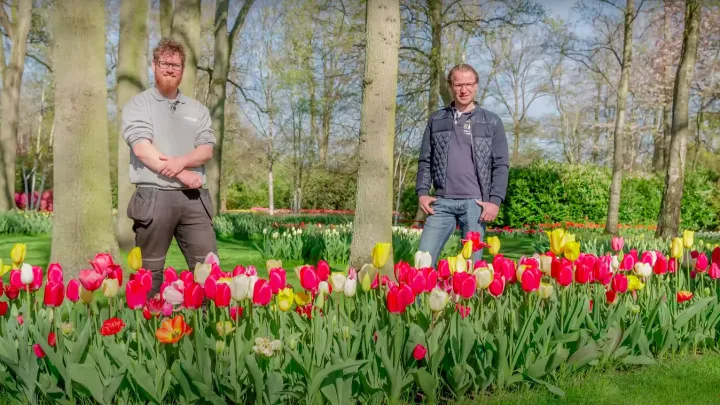 Designer Frans explains how he designs Keukenhof