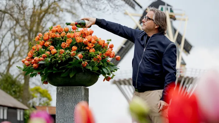 Guus Meeuwis doopt tulp in Keukenhof
