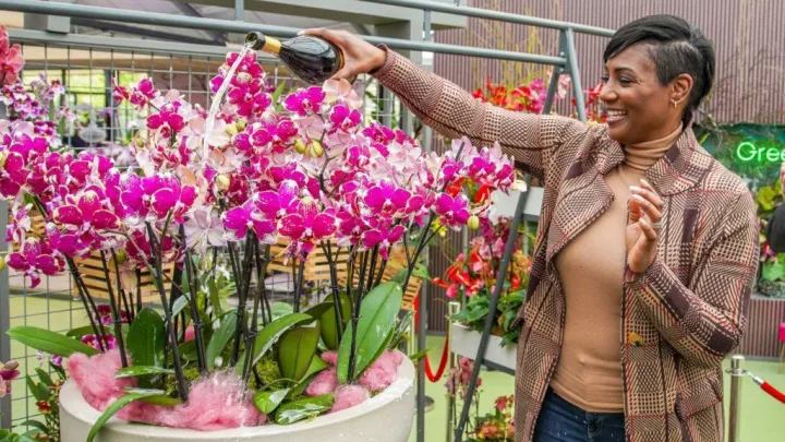 Edsilia Rombley doopt Phalaenopsis in Keukenhof