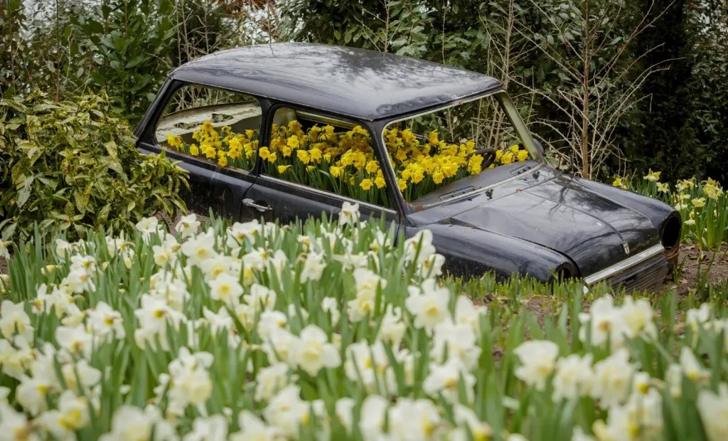Met de auto