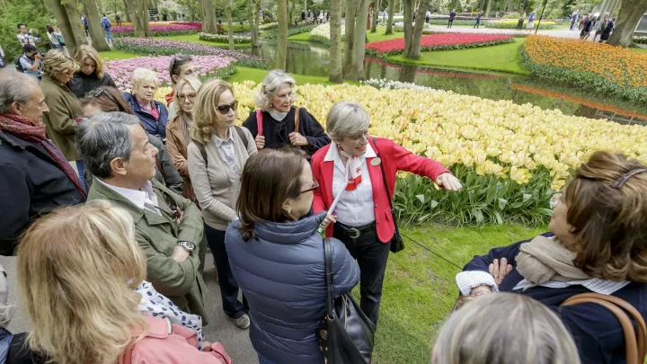 Guided tour