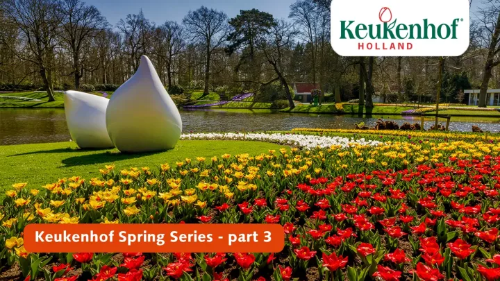 Keukenhof Spring Series - April 6